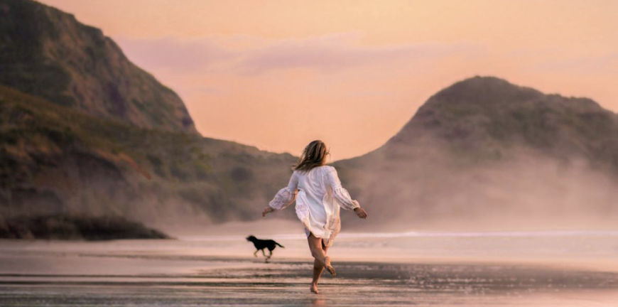 Safety Tips to Tick Off Before Taking Your Pet on Holiday